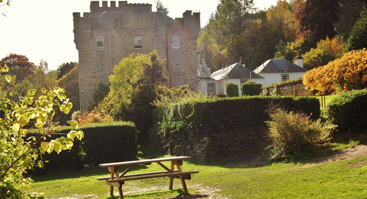 Dalguise 