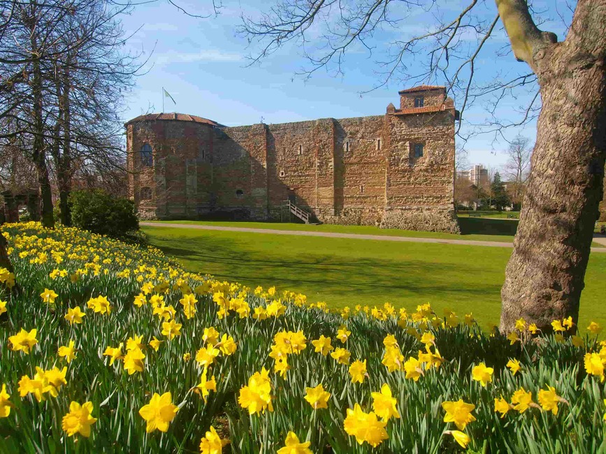 COLCHESTER - COUTH COURTS - UNIVERSITY OF ESSEX